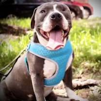 Thumbnail photo of Jasperi #2