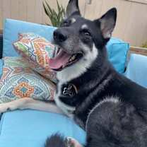 Thumbnail photo of Lancer #2