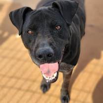 Thumbnail photo of Jackson #1