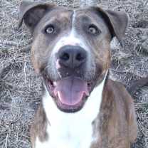 Thumbnail photo of Xena #1