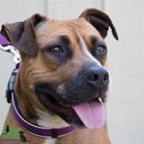 Thumbnail photo of Xena Xulu #1