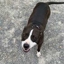 Thumbnail photo of Lilly #1