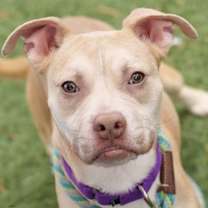 Thumbnail photo of Arya #1