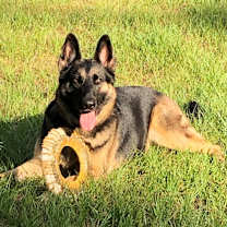 Thumbnail photo of Ranger #1