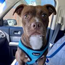 Thumbnail photo of Madison #4