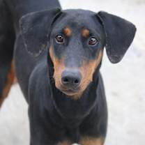 Thumbnail photo of Junebug #1