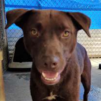 Thumbnail photo of Bucky #1