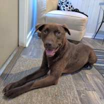 Thumbnail photo of Bucky #3