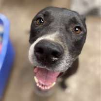 Thumbnail photo of Maliboo #2