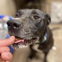 Thumbnail photo of Maliboo #3