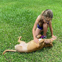 Thumbnail photo of Bucky #3