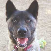 Thumbnail photo of Ume #2