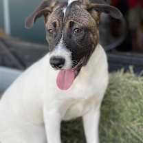 Thumbnail photo of Liza #2