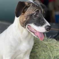 Thumbnail photo of Liza #3