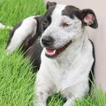 Thumbnail photo of DALMA - A GEM! #1