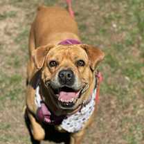 Thumbnail photo of Sissy #3