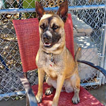 Thumbnail photo of Xena #2