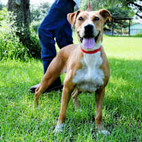 Thumbnail photo of Echo #2