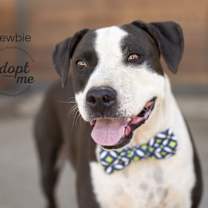 Thumbnail photo of Newbie #3