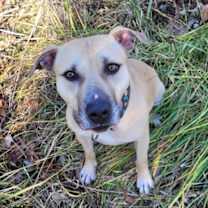 Thumbnail photo of Bonnie #2
