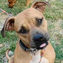 Thumbnail photo of Reya #2