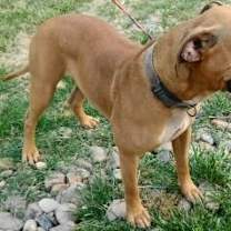 Thumbnail photo of Reya #3