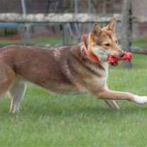 Thumbnail photo of Gianna * She's gorgeous! * #2