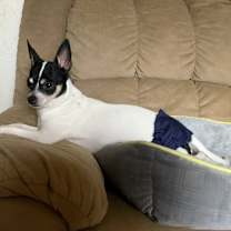 Thumbnail photo of Bandit #2
