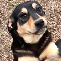 Thumbnail photo of Nadia (Olympic crew) #1