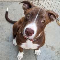 Thumbnail photo of Maggie May #1