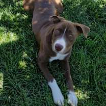 Thumbnail photo of Maggie May #3