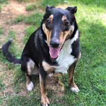 Thumbnail photo of Riley Roscoe #3