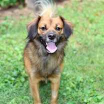 Thumbnail photo of SONNY BOY #3