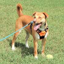 Thumbnail photo of BRISTOL #2