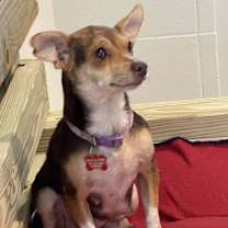 Thumbnail photo of Luella #3