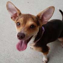 Thumbnail photo of Luella #2