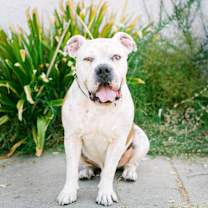 Thumbnail photo of Bruno #1