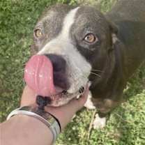 Thumbnail photo of Lilly #3