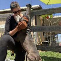 Thumbnail photo of Lilly #4