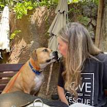 Thumbnail photo of Ginger #3