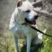 Thumbnail photo of Duane #1