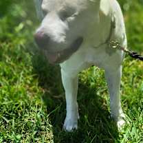 Thumbnail photo of Duane #2