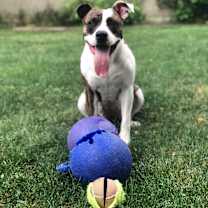 Thumbnail photo of Merry #2