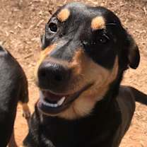 Thumbnail photo of Simone (Olympic crew) #2