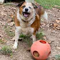 Thumbnail photo of Reecie #1