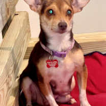 Thumbnail photo of Luella #4