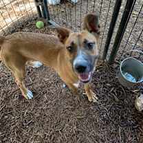 Thumbnail photo of Lola #1