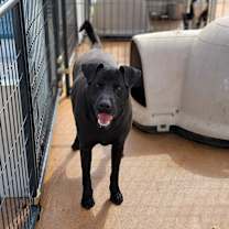 Thumbnail photo of Jackson #2