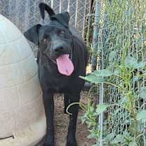 Thumbnail photo of Jackson #3