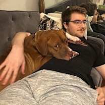 Thumbnail photo of Jenna - *SUPER URGT* NEEDS IMMED FOSTER #3